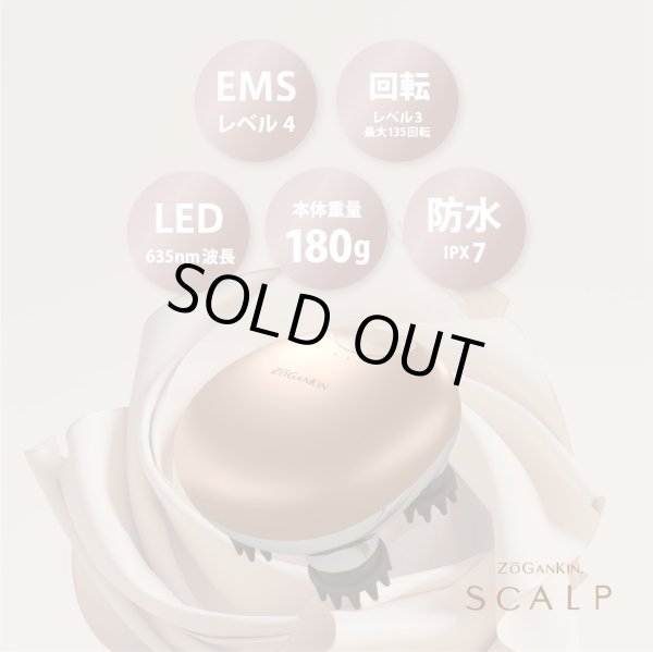 画像2: ZOGANKIN SCALP（ゾーガンキン スカルプ） 頭皮ケア EMS ヘッドスパ 正規品 (2)