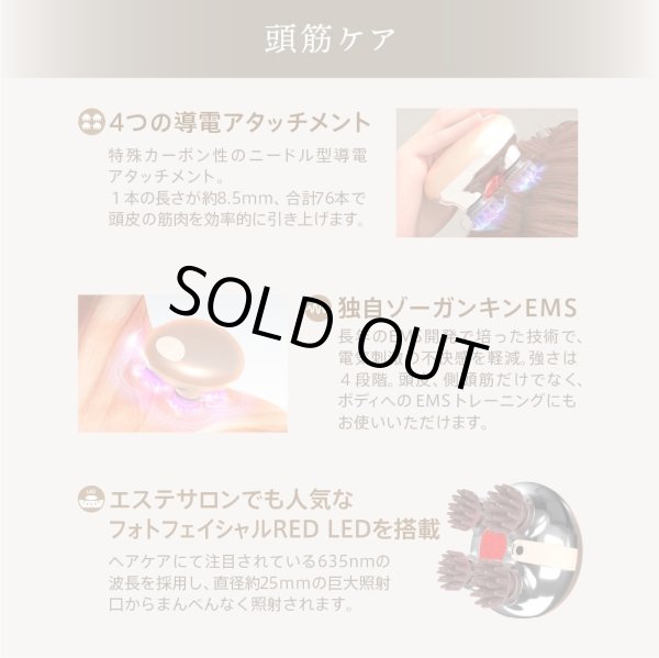 画像3: ZOGANKIN SCALP（ゾーガンキン スカルプ） 頭皮ケア EMS ヘッドスパ 正規品 (3)