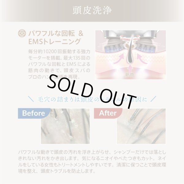 画像5: ZOGANKIN SCALP（ゾーガンキン スカルプ） 頭皮ケア EMS ヘッドスパ 正規品 (5)