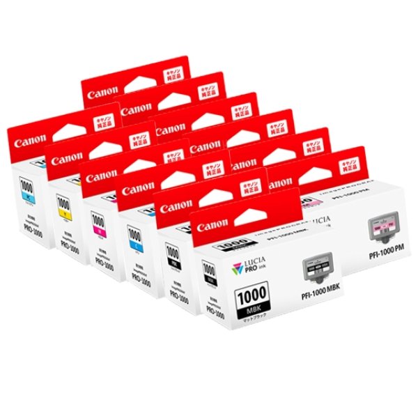 画像1: キヤノン 純正インクタンク PFI-1000シリーズ全12色（MBK/PBK/C/M/Y/PC/PM/GY/PGY/R/B/CO)セット (1)