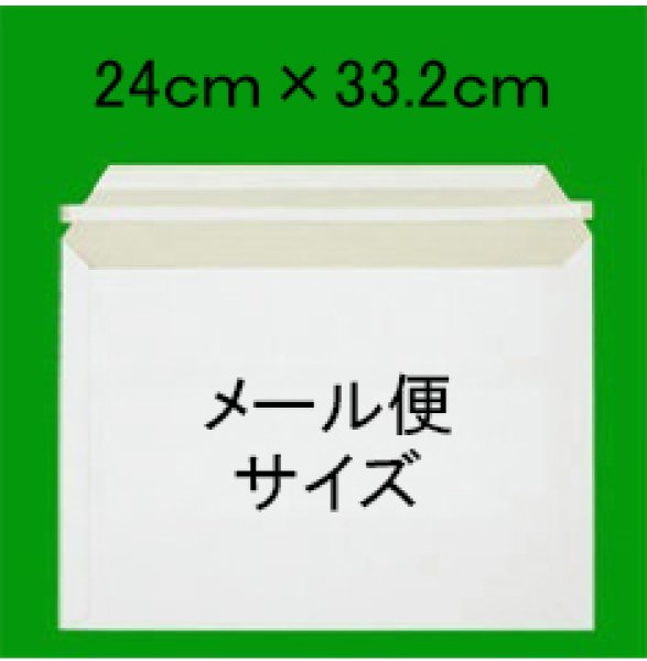 画像1: ビジネスレターケース ■メール便対応サイズ ■50枚 (1)